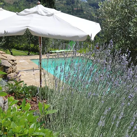 Rosa Hotel 4*