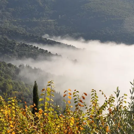 Rosa Villa Cortona